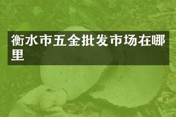 衡水市五金批发市场在哪里