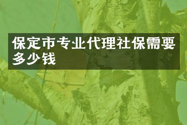 保定市专业代理社保需要多少钱