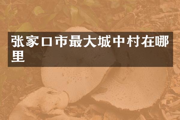 张家口市最大城中村在哪里