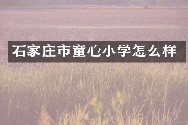 石家庄市童心小学怎么样
