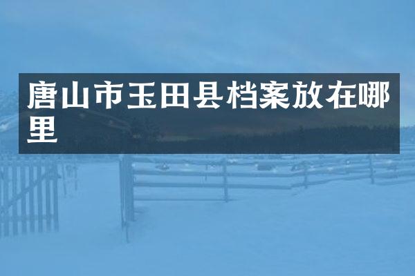 唐山市玉田县档案放在哪里