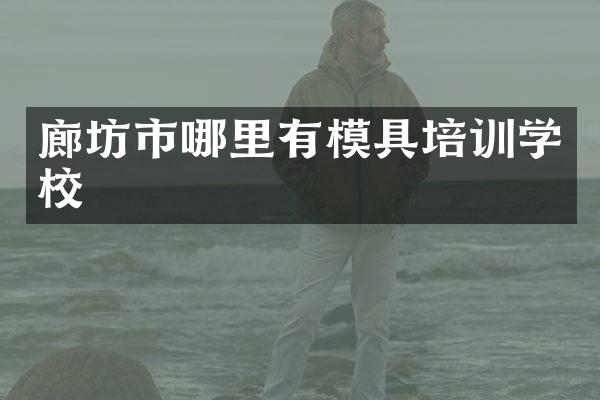 廊坊市哪里有模具培训学校