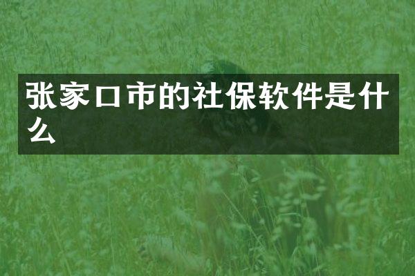 张家口市的社保软件是什么
