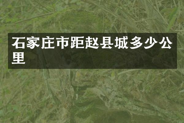 石家庄市距赵县城多少公里