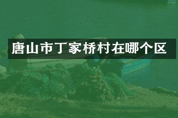 唐山市丁家桥村在哪个区