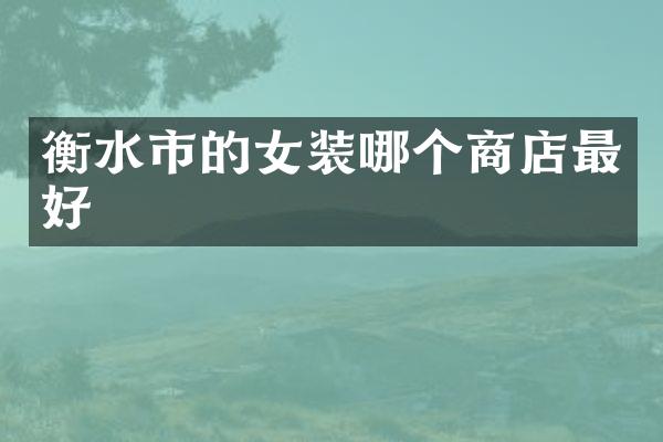 衡水市的女装哪个商店最好