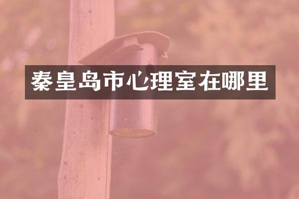 秦皇岛市心理室在哪里