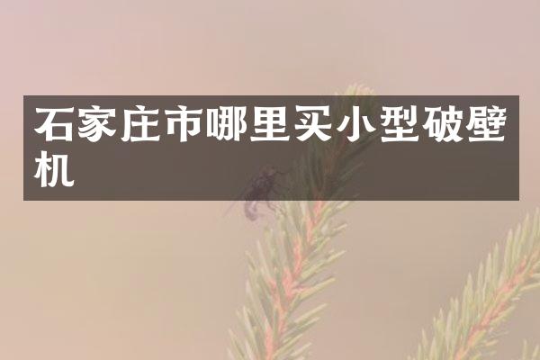 石家庄市哪里买小型破壁机