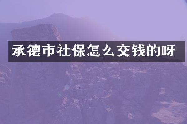 承德市社保怎么交钱的呀