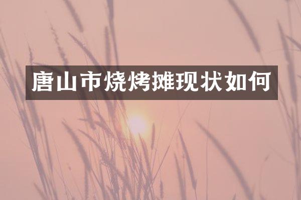 唐山市烧烤摊现状如何