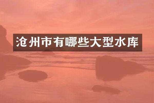 沧州市有哪些大型水库