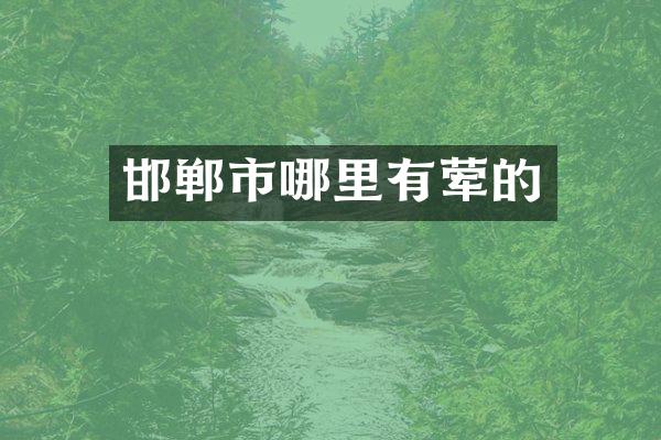 邯郸市哪里有荤的