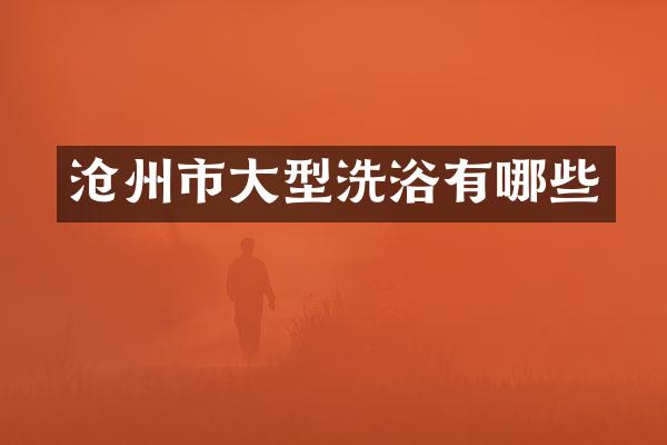 沧州市大型洗浴有哪些