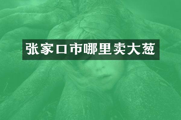 张家口市哪里卖大葱