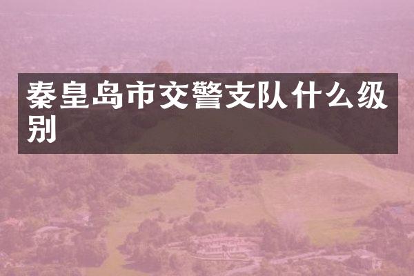 秦皇岛市交警支队什么级别