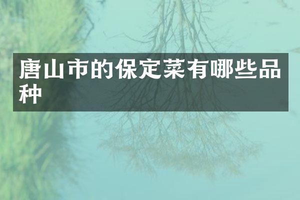 唐山市的保定菜有哪些品种