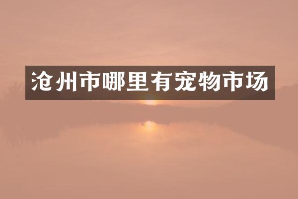 沧州市哪里有宠物市场