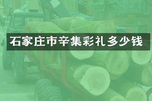 石家庄市辛集彩礼多少钱