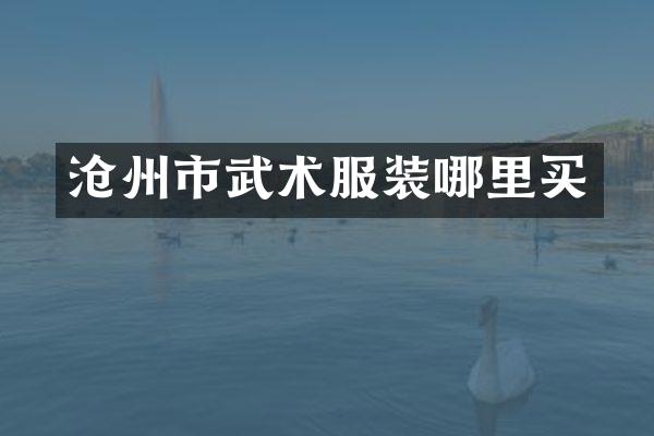 沧州市武术服装哪里买