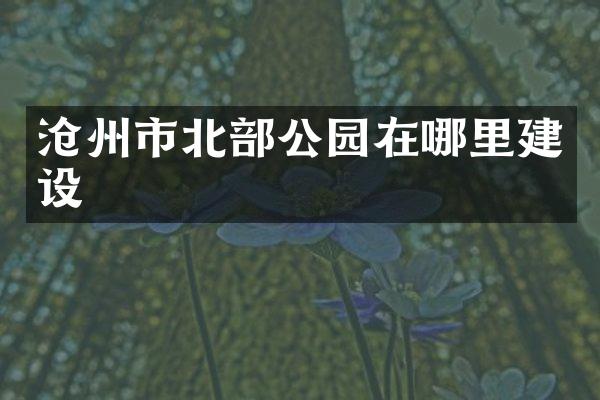 沧州市北部公园在哪里建设