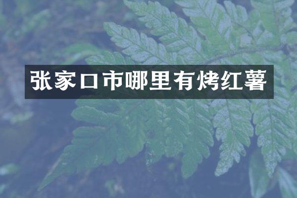 张家口市哪里有烤红薯