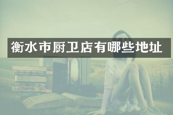 衡水市厨卫店有哪些地址