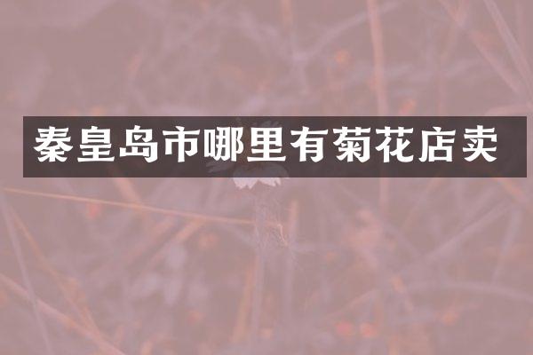 秦皇岛市哪里有菊花店卖