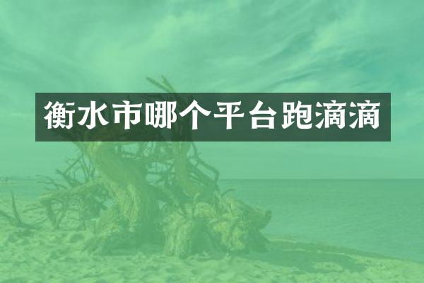 衡水市哪个平台跑滴滴