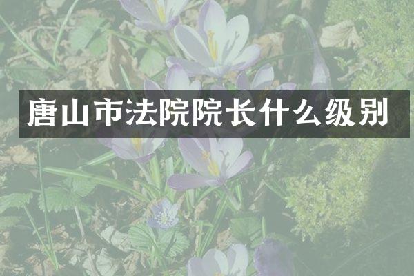唐山市法院院长什么级别