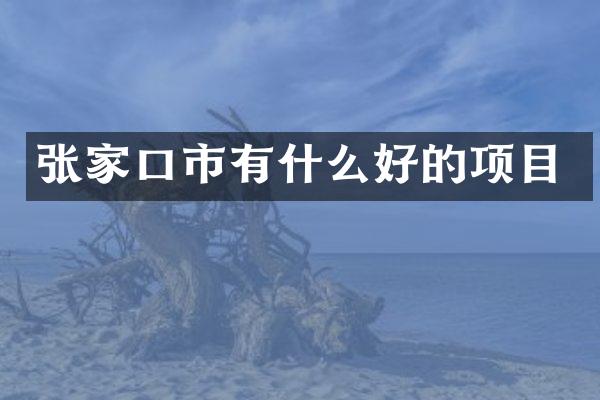 张家口市有什么好的项目