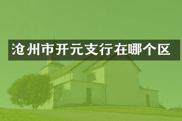 沧州市开元支行在哪个区