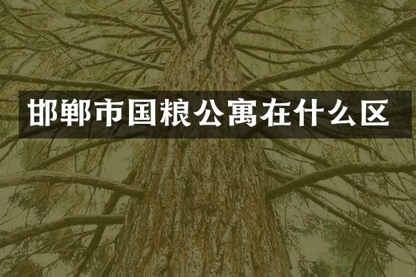 邯郸市国粮公寓在什么区