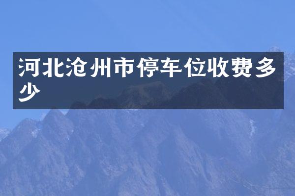 河北沧州市停车位收费多少