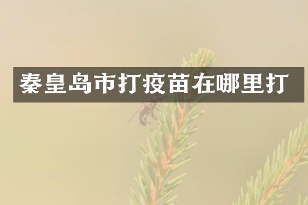 秦皇岛市打疫苗在哪里打