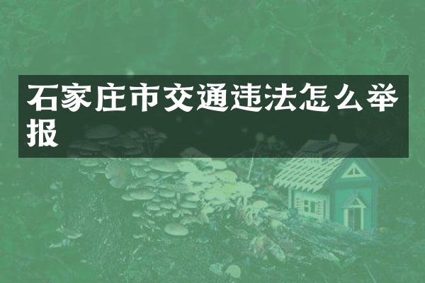 石家庄市交通违法怎么举报