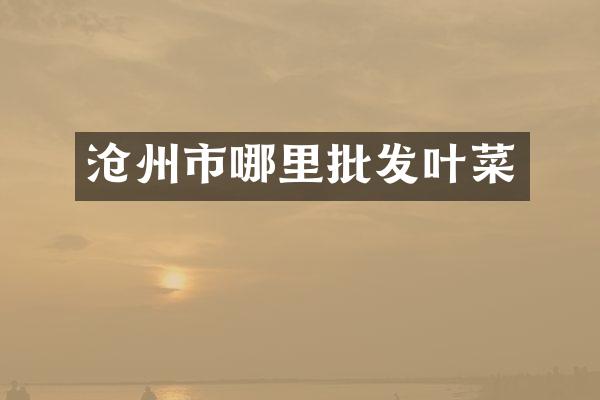 沧州市哪里批发叶菜
