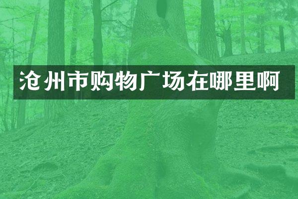 沧州市购物广场在哪里啊