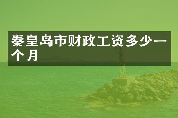秦皇岛市财政工资多少一个月