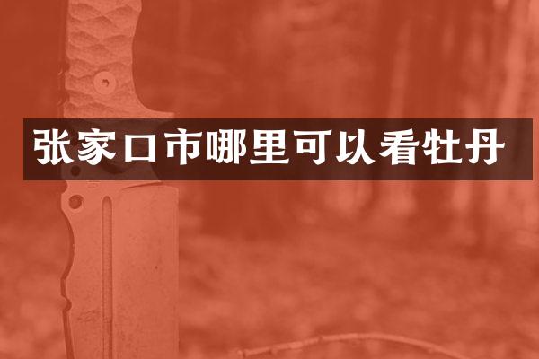 张家口市哪里可以看牡丹