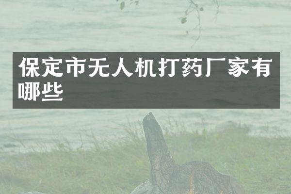 保定市无人机打药厂家有哪些