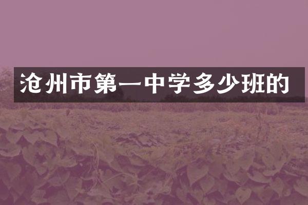 沧州市第一中学多少班的