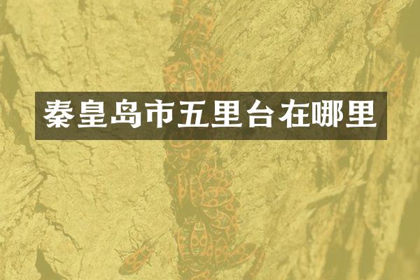 秦皇岛市五里台在哪里