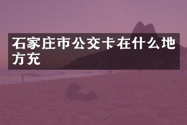 石家庄市公交卡在什么地方充
