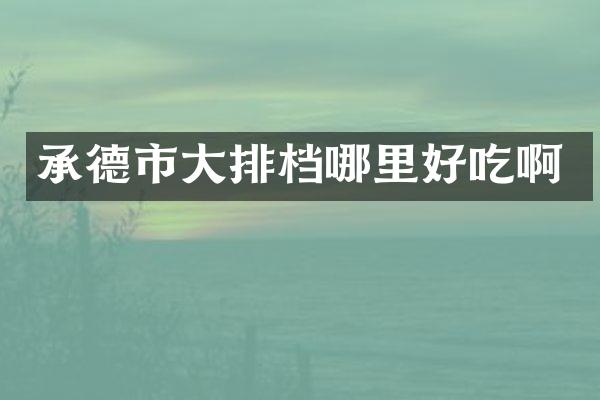 承德市大排档哪里好吃啊