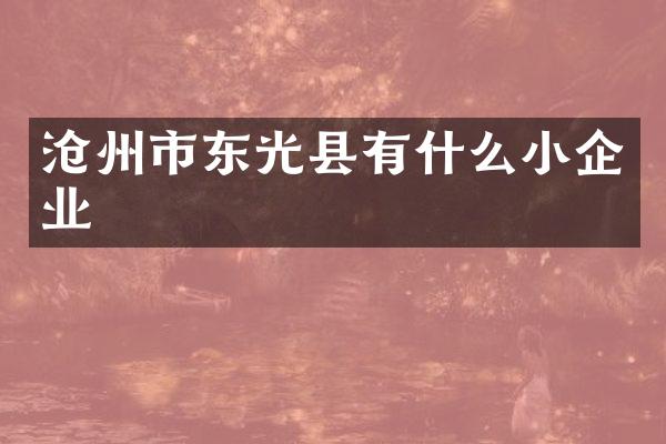 沧州市东光县有什么小企业