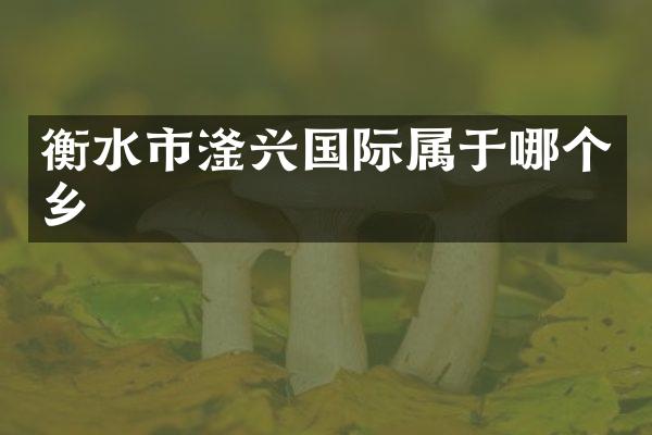衡水市滏兴国际属于哪个乡