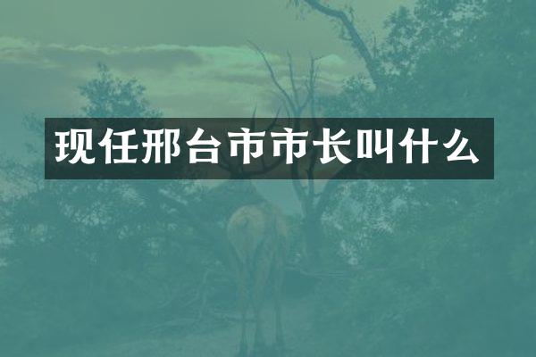 现任邢台市市长叫什么
