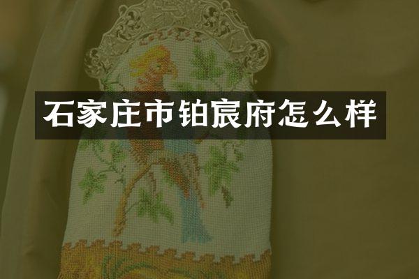 石家庄市铂宸府怎么样