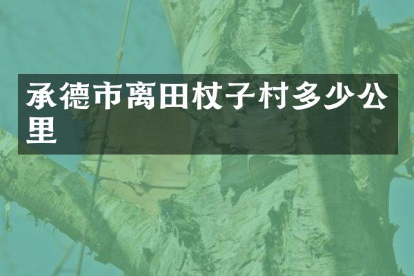 承德市离田杖子村多少公里