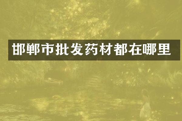 邯郸市批发药材都在哪里